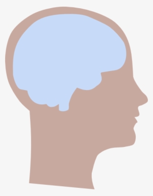 Woman Head Clip Art At Clker - Illustration