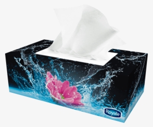 Previous - Next - Tissue Box Design Png
