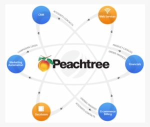 Peachtree Courses - Peachtree First Accounting 2004