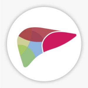 Global Non-alcoholic Steatohepatitis Market - Workshop