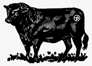 Meet Our Cow She's A Beauty We Call Her 'neni' Which - Delmonico By Kitchen And Bar