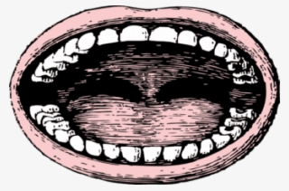 Wide Mouth Vintage - Vintage Mouth Png