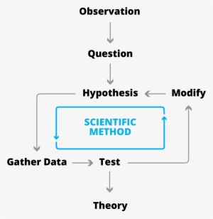 What Is A Data First Paradigm - Scientific Method