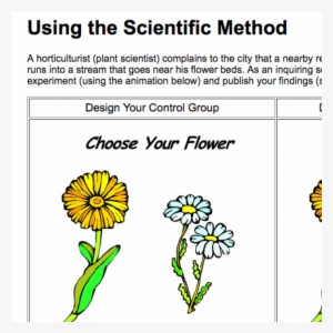 Coloring Pages