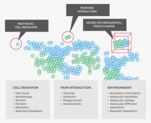 Bio Cell Pair Enviro - Cell