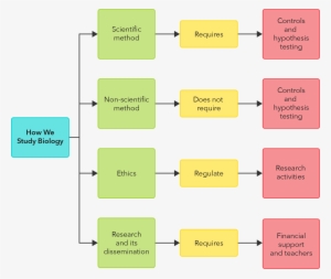 How We Study Biology - Statistical Graphics