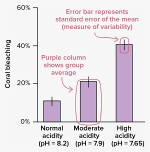 Small Size Medium Size Original Size Download Here - Experiment