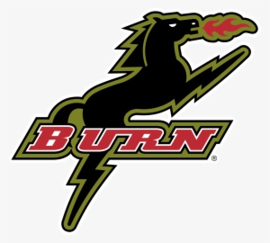 Dallas Burn Logo