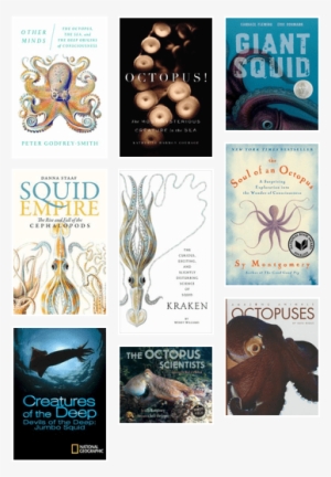 Squid Empire - The Rise And Fall