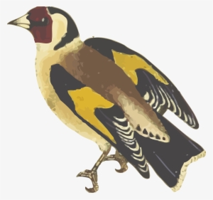 This Free Icons Png Design Of Goldfinch