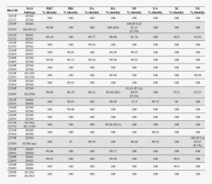 Comparison Of Nucleotide Identities For Viruses Isolated - Number