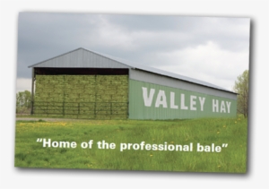 Please Call Or Email If You Require A Feed Analysis - Canada