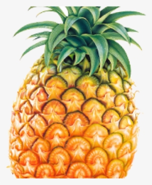 Pineapple Png Transparent Images - Pineapple Png