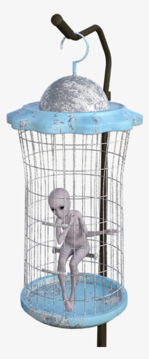 Alien, Cage, Trapped, Solitude, Punishment, Prisoner - Png Transparente Cage Prison
