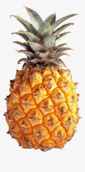Pineapple Tumblr Theme Download Transparent Pineapple - Pineapple Transparents