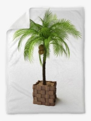 Palm Trees