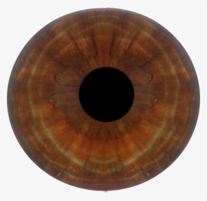 Eye Iris Autumn - Circle