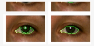 Eye Area From An Original Image - Iris