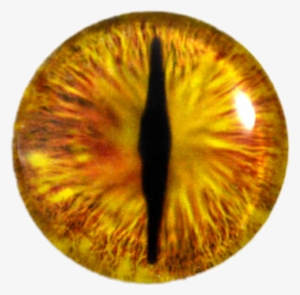Yellow Dragon Eye