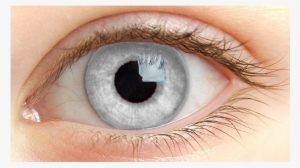 “ Semi Transparent Eye - Human Eye