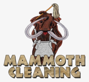 It Isn't Clean Until It's Mammoth Clean - Mammoth Lakes