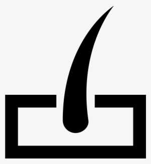 The Icon Is A Simplified Depiction Of A Hair Follicle - Skin