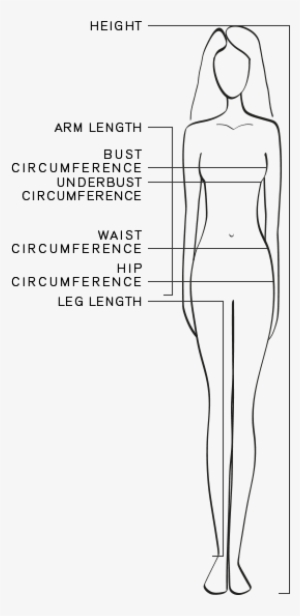 Measure Png Free Hd Measure Transparent Image Page 6 Pngkit