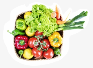 Shop Online - Vegetable