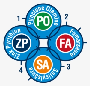 Four Different Active Ingredients With Four Different - Alpecin Hair Care Shampoo Dandruff Killer Shampoo 250