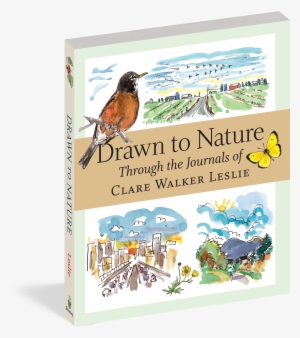 Cover - Drawn To Nature: Through The Journals Of Clare Walker
