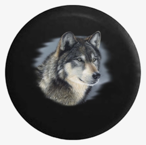 Distressed Worn American Flag Grunge Jeep Camper Spare