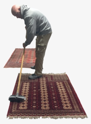 In All These Cases, Avoid Low Performing Rug Fibers - Floor