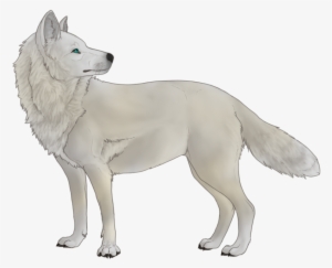 White Wolf Thing - White Wolf No Background