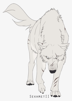 Wolves White Wolf - White Wolf Drawing Anime PNG Image With Transparent  Background | TOPpng