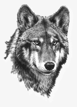 Wolf Clipart Picture Black And White Wolf Clipart Wolf - Tete De Loup ...