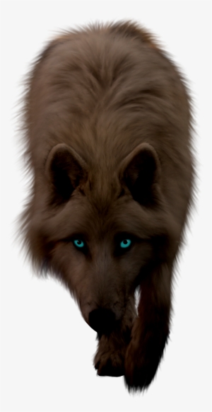 Brown Png By Itsdura - Animals In Png File