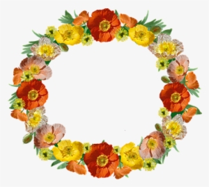 Wreath, Border, Poppies, Floral, Frame - Papaver Somniferum