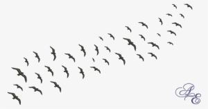 Flock Of Birds Silhouette Png Clip Art Black And White - Flock Of Birds Png