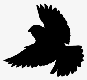 Silhouette Of Flying Bird - Bird Silhouette