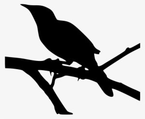 This Graphics Is The Outline Of The Robins About Texas,birds - Kill A Mockingbird Icon