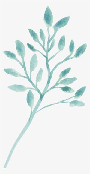 Ramas