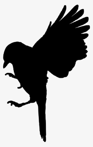 Free Image On Pixabay - Black Bird Cut Out