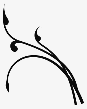 Branch Vector Png - Branch Clip Art