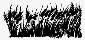 Free Download - Photography