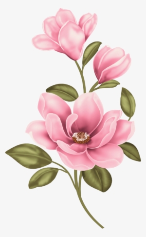 Pin By Bronislava Jarošová On K - Magnolia Clipart