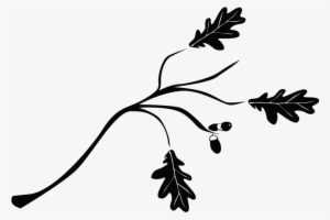 Ramas De Arbol Dibujo Png