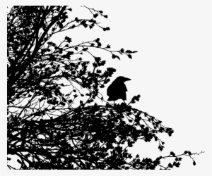 Bird Tree Common Raven Crow Family Silhouette - Disintegration Effect Black And White