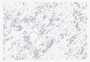 Enhance Your Wall With Momento Special Effect Paint - Bird Migration