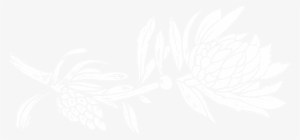 Foliage Png