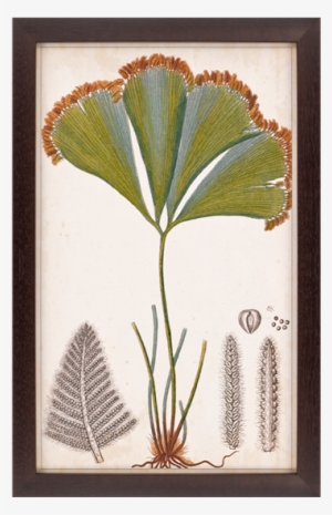 Foliage Botanique I - Paragon Decor Inc. 1204 Foliage Botanique